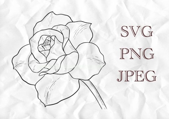Rose Flower Outline Vector Illustration for Graphics & Crafts